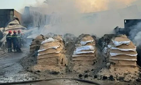 Cháy xưởng chế biến mùn cưa ở TP.HCM, 3 người bị thương