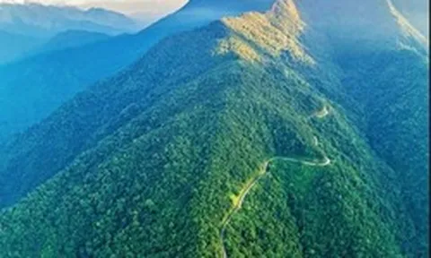 Tạp chí quốc tế công bố "kho báu sống" ở dãy Trường Sơn: Chỉ Việt Nam có