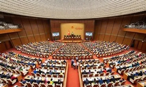 Nhiệm vụ và quyền hạn của Chủ tịch nước, Thủ tướng Chính phủ