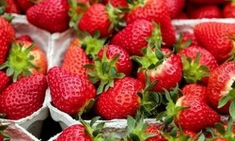 Danh sách "12 loại trái cây và rau củ bẩn nhất năm 2026" đã được công bố! Đứng đầu là loại rau rất giàu sắt, dâu tây cũng góp mặt