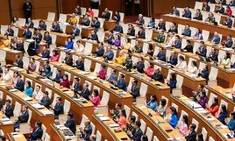 Bộ Chính trị: Nghiên cứu sửa đổi tổng thể Hiến pháp 2013 phù hợp với thực tiễn