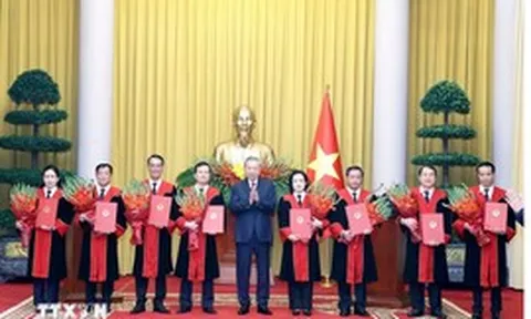 Tổng Bí thư, Chủ tịch nước Tô Lâm trao quyết định bổ nhiệm Thẩm phán TAND tối cao