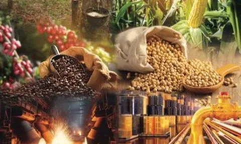 Thị trường hàng hóa nguyên liệu thế giới rung lắc mạnh