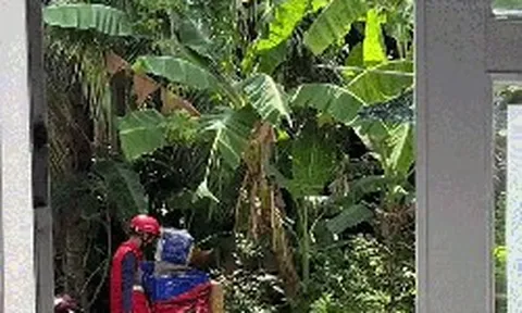 Shipper thái độ ra mặt, liệng gói hàng đánh bộp: Cả trăm lời khuyên rate 1 sao nhưng khách không dám