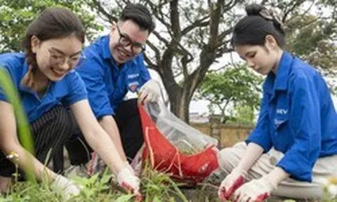 Tin vui: Hàng nghìn người ở Việt Nam tham gia một thử thách do quỹ của tỷ phú Phạm Nhật Vượng phát động