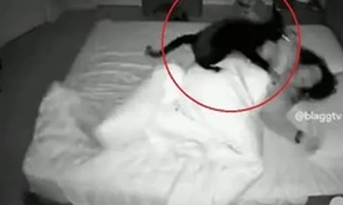 Người phụ nữ ngày nào cũng đi ngủ sớm nhưng sáng dậy vẫn thiếu ngủ, mệt mỏi trầm trọng, đoạn camera giám sát lúc 3 giờ sáng tiết lộ