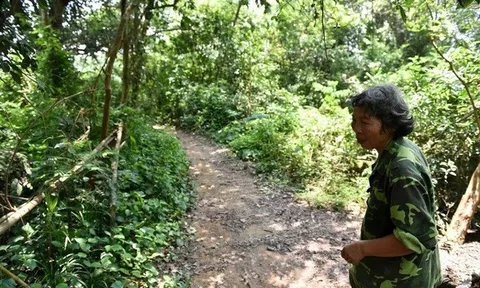 Hai "dị nhân" sống giữa "ốc đảo" biệt lập ở Phú Thọ, không tiêu đến tiền, vẫn khỏe mạnh