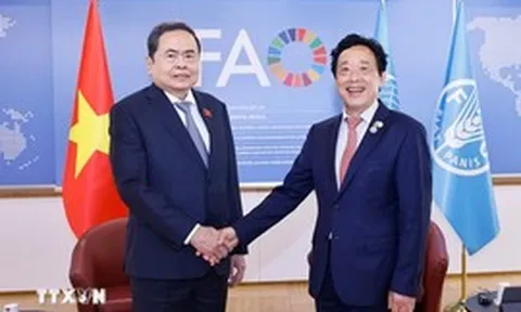 Thúc đẩy hợp tác nông nghiệp, an ninh lương thực giữa Việt Nam và FAO