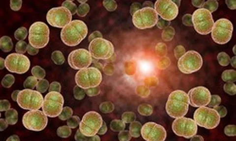 Vi khuẩn “ẩn mình” trong họng, có thể gây tử vong trong vòng 24 giờ