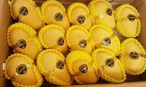 Loại quả bán đầy chợ Việt nhưng ra nước ngoài lại hóa "vàng ròng" mang về trăm triệu USD, chinh phục hơn 40 quốc gia