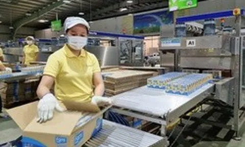 Một công ty sắp chốt ngày trả cổ tức 20% bằng tiền mặt, duy trì mức 40% năm thứ ba liên tiếp