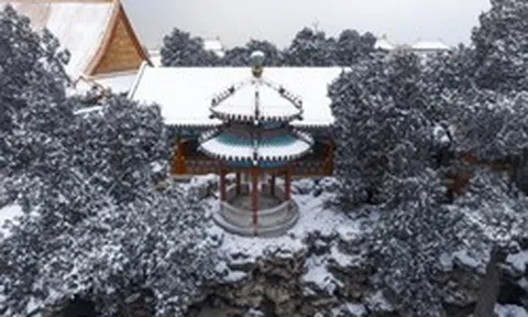 Hé lộ khu vườn độc nhất vô nhị trong Tử Cấm Thành, càng nhìn càng thấy bí ẩn