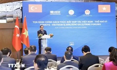Thúc đẩy mạnh mẽ hợp tác kinh tế, thương mại, đầu tư và du lịch giữa Việt Nam - Thổ Nhĩ Kỳ