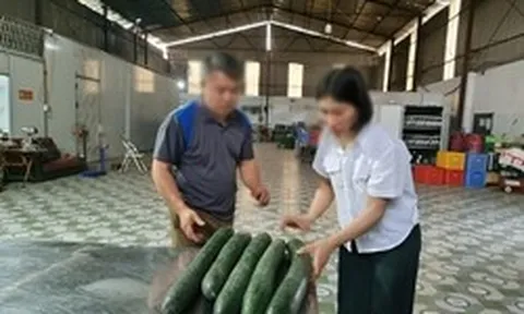 Tiết lộ khoản 'hoa hồng' cho hiệu trưởng để tuồn thịt lợn bệnh vào trường học