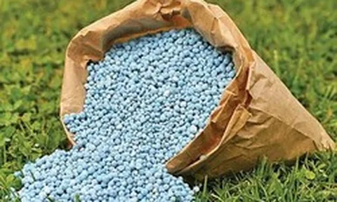 Khủng hoảng kép đẩy giá phân bón châu Âu leo thang