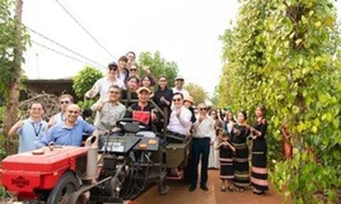 Từ “mỏ vàng đen” chìm giữa buôn làng đến di sản UNESCO: Cách Việt Nam định giá lại một báu vật của đất trời