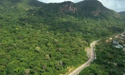 Vụ 42 cây mai vàng: Chỉ đạo mới nhất từ Vườn quốc gia Côn Đảo