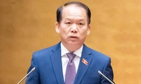 Sĩ quan Quân đội và sĩ quan Công an có thể làm luật sư công