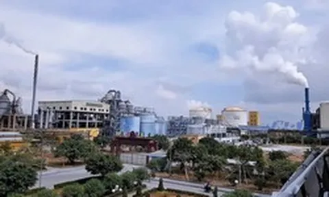 2 lãnh đạo một công ty phân bón 4.000 tỷ đồng loạt từ nhiệm trước thềm ĐHĐCĐ thường niên