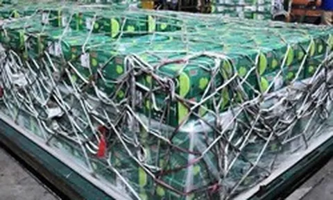 Việt Nam đón tin vui từ Trung Đông: Lần đầu tiên siêu tập đoàn 8 tỷ USD thuê máy bay chở 100 tấn rau quả Việt sang tiêu thụ
