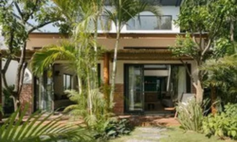 Gia đình đang trồng cau trước nhà cần biết điều này