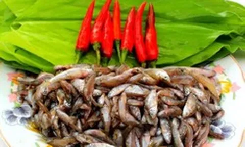 Loại cá "nhà nghèo" xưa ra đồng bắt về ăn, nay thành đặc sản ngon và hiếm giá 400.000 đồng/kg vẫn hút khách