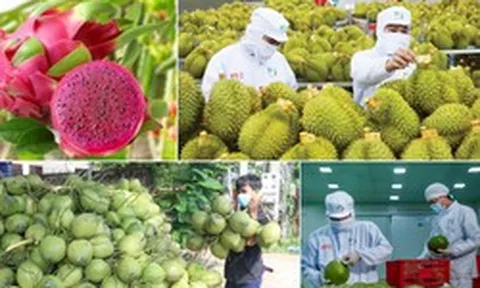Ngành rau quả tự tin mục tiêu 10 tỷ USD xuất khẩu