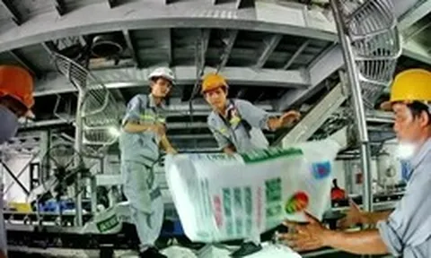 Giá phân bón tăng mạnh: Doanh nghiệp 'kẻ khóc, người cười'