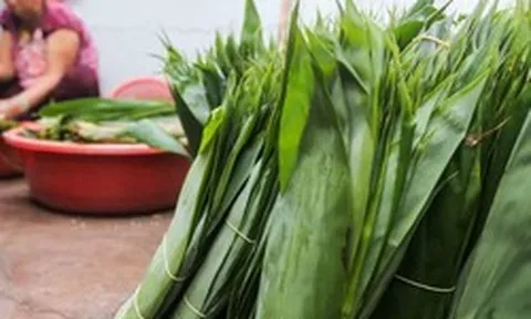 2 thứ bỏ đi ở Việt Nam, trời Tây có giá đắt đỏ, nhất cái số 1 ở quê rụng đầy vườn