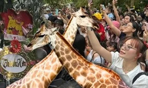 ĐỘC LẠ NGÀY LỄ: Biển người đổ bộ Thảo Cầm Viên từ sớm chỉ để... dự đám cưới hươu cao cổ!