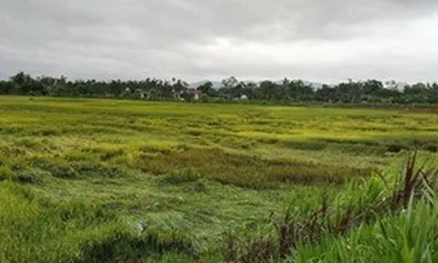 Dông lốc kèm mưa đá trút xuống, nhiều xã ở Hà Tĩnh chịu thiệt hại nặng
