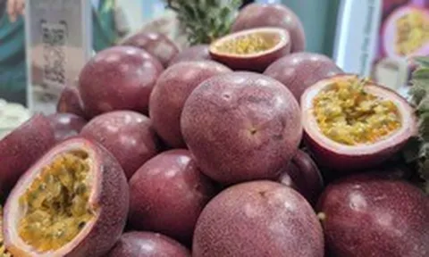 Không phải sầu riêng, đây mới là loại quả từ Việt Nam mà châu Âu cực mê