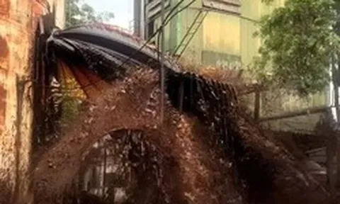 Sét đánh làm 2.000 tấn mật tràn ra ngoài: Có độc không, xử lý thế nào?