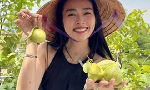 Mỹ nhân Việt làm chủ 3 công ty, sống trong nhà phố 100m2, sân thượng trồng gì mà lúc nào cũng trĩu quả?