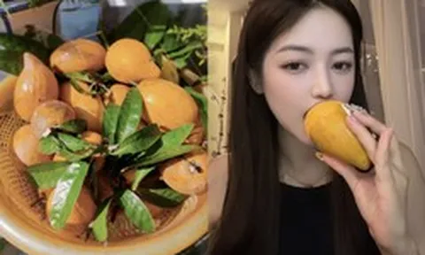 Quả trứng gà rụng đầy gốc ở Việt Nam, sang nước ngoài thành hàng hiếm, bán hơn 1 triệu đồng vẫn có người mua