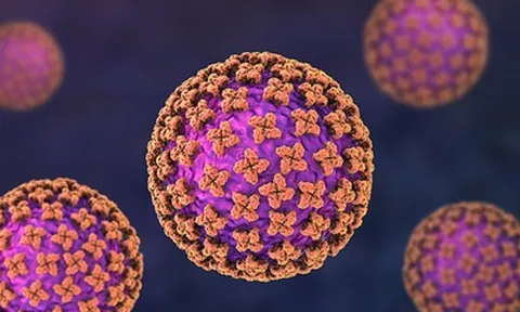 3 người vừa tử vong vì hantavirus: Loại virus "tấn công phổi" nguy hiểm ra sao?