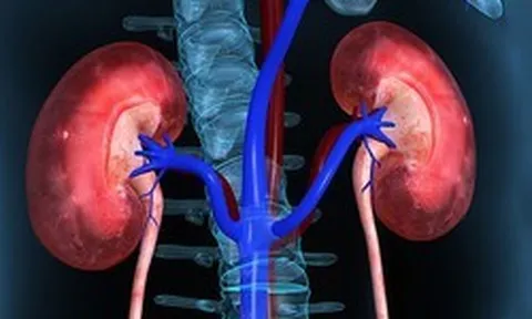 Đi tiểu nhiều bọt có phải bị suy thận? Bác sĩ bệnh viện Bạch Mai giải đáp