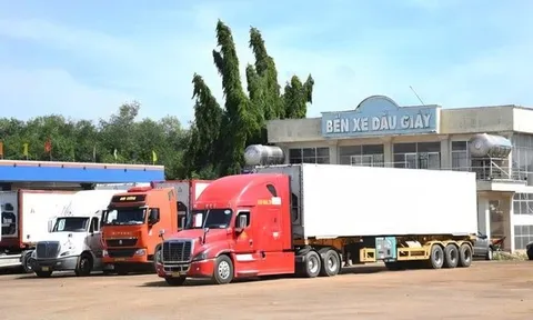 Hàng ngàn container sầu riêng đổ về Dầu Giây: Tài xế vật vờ chờ kiểm định, người dân than trời vì ùn tắc