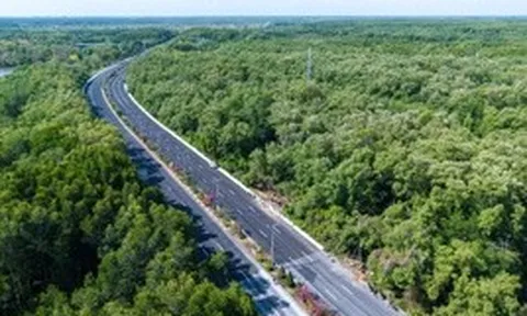 Cận cảnh đường xuyên rừng ngập mặn TP.HCM được đề xuất mở rộng lên 10 làn xe