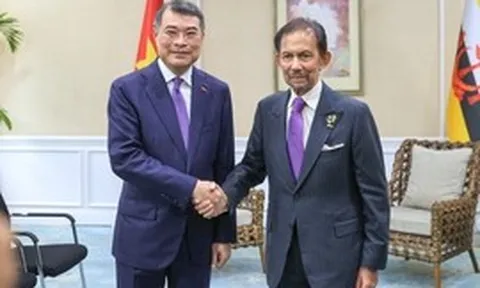 Thủ tướng Lê Minh Hưng hội kiến Quốc vương Brunei