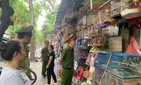 Hà Nội: Công an kiểm tra 3 hộ kinh doanh, thu giữ rất nhiều cá thể chim không rõ nguồn gốc