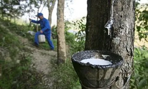 Một nguyên liệu thiết yếu cho ngành ô tô bất ngờ tăng giá mạnh nhất 8 năm: Việt Nam đứng thứ 3 thế giới về sản lượng nhưng chưa phải quốc gia hưởng lợi nhất