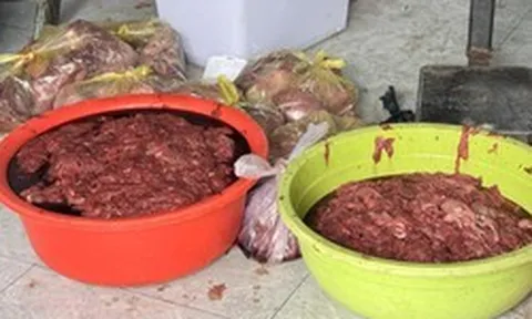 Rùng mình thủ đoạn của Nguyễn Văn Thái cùng đồng bọn khi tuồn 65 tấn thịt bò giả, chứa hóa chất ra thị trường