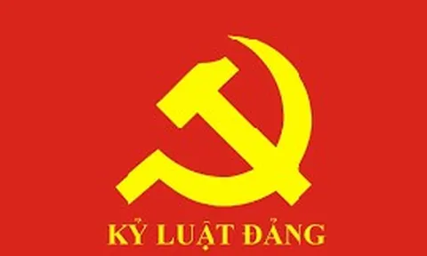 Ban Bí thư quyết định khai trừ đảng đối với 3 đảng viên vi phạm