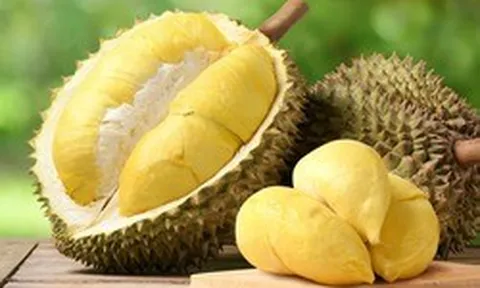 Sầu riêng bổ dưỡng nhưng 4 người cần tránh xa