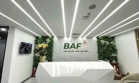 Baf Việt Nam nhận chuyển nhượng 25% vốn góp một doanh nghiệp chăn nuôi tại Gia Lai