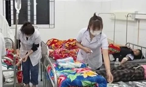 Học sinh nhập viện sau khi ăn quả lạ hái ven rừng, Bộ Y tế vào cuộc