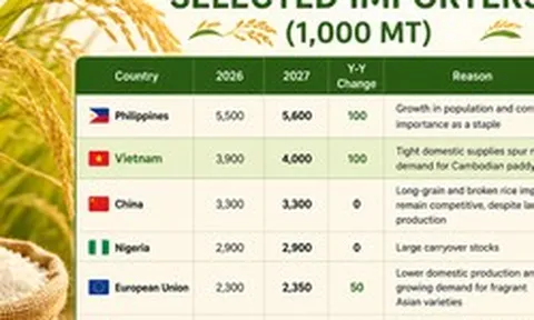 Mỹ dự báo Việt Nam nhập khẩu gạo nhiều hơn cả Trung Quốc, tiếp tục xếp thứ 2 thế giới