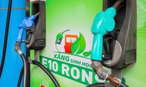 Từ 1/6, doanh nghiệp không bán xăng sinh học E10 sẽ bị xử lý