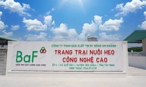 Cầm cố loạt công ty con, BAF vay 1.270 tỷ đồng từ 'đại gia' Hà Lan